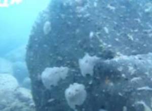 Ինչ կտեսնեք Սևանի հատակում