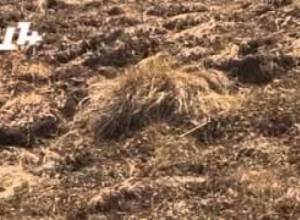 «Ամուլսարը չպետք է շահագործվի»