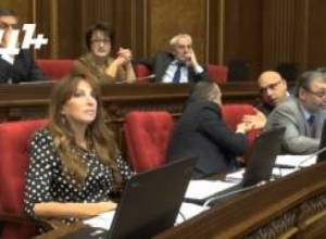 "Ես գիտեի` դուք պատգամավոր եք,  չգիտեի, որ սխոտկաներ էլ եք անցկացնում". Հ. Աբրահամյան