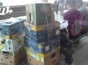 «Ջրի մարդը իմ մարդն է»