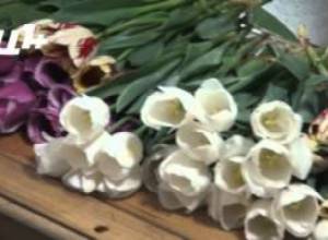 ՊՆ-ն յուօրինակ կերպով շնորհավորում է մարտի 8-ը