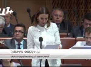 ԵԽԽՎ-ում