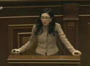 Արփինե Հովհաննիսյանի ամփոփիչ ելույթը