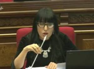 «Ձայնալարերը այդքան պետք չէ ծանրաբեռնել, տիկին Զոհրաբյան»