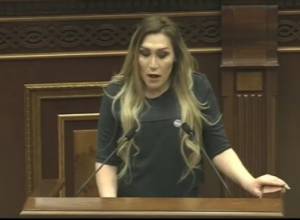 Женщина-трансгендер выступила с кафедры НС, Наира Зограбяна возмутилась