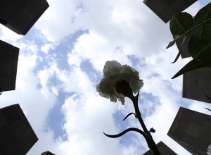 Полиция о перекрытых улицах