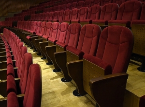 Около 370 тысяч учащихся будут иметь возможность посещать театры