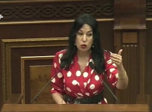 Շունն ու կատուն էլ եք քաղաքականացնում, որ շներն ու կատուները խորին շնորհակալությունը հայտնեն ձեզ