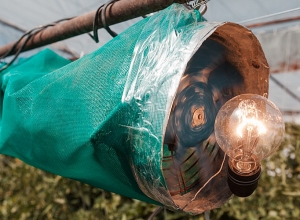 Ֆերմերը Սիփանիկում ինքնաշեն ջերմոց է կառուցել