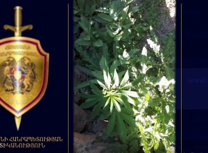 Армавирские полицейские обнаружили наркотики и огнестрельное оружие в большом количестве