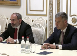 Премьер-министр Армении принял лауреата Нобелевской премии по физиологии или медицине Харальда цур Хаузена