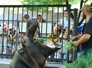 500 детей из Армении и Арцаха на протяжении двух дней будут принимать участие в первоиюньских мероприятиях