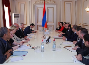 Ararat Mirzoyan presents developments in our country following the Velvet Revolution to CoE delegation