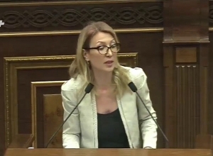 Որևէ փոփոխություն այս Հարկային օրենսգիրքը չի առաջարկում. Մանե Թանդիլյան