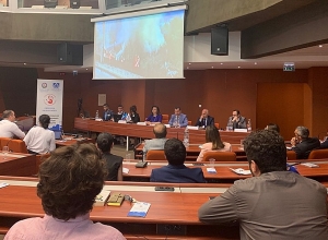 Депутаты НС РА в ПАСЕ возражают против ложной Азербайджанской информации