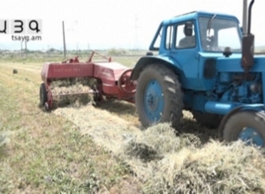 Խոտը լավ չի աճել, դաշտից տուն հասցնելու գրեթե ոչինչ չկա