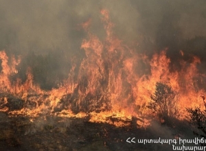 На дачах Харберда в Ереване вспыхнул пожар