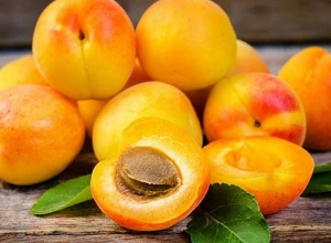 Ծիրանի մթերումը մեկնարկել է