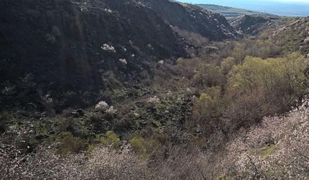 The_canyon_of_Ani