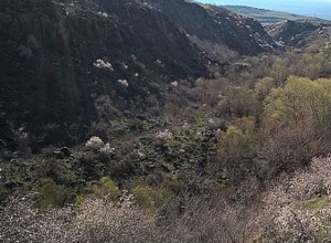 Քաղաքացին ընկել է ձորակը