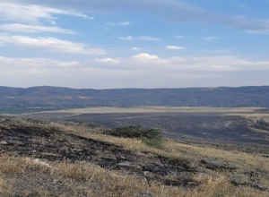 Հրդեհ Գառնի գյուղում. այրվել է 40 հա խոտածածկույթ