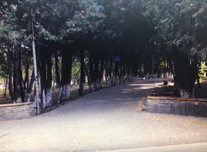 Ի՞նչ բարեփոխումներ կիրականացվեն «Արաբկիր» այգում