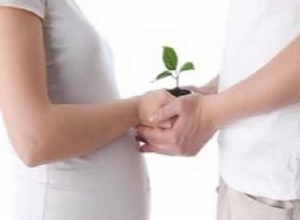 Ովքեր կարող են օգտվել «Անպտղություն ունեցող անզավակ զույգերի աջակցության պետական ծրագրից» և ինչ կարգով 