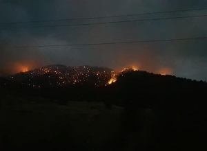 Խոշոր հրդեհ «Արևիկ» ազգային պարկի տարածքում