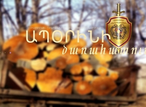 Обнаружен загруженный древесиной автомобиль