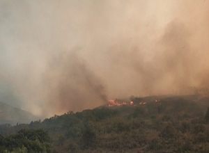 Потушен пожар, возникший на дороге в Хосровский заповедник