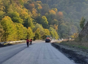 Начались работы по капитальному ремонту дороги Ванадзор – Дилижан