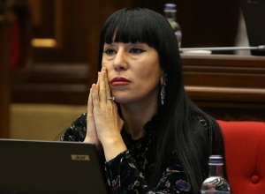 Заседание постоянной комиссии НС по государственно-правовым вопросам: прямой эфир