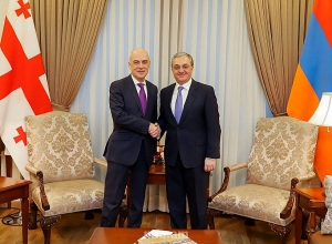 Зограб Мнацаканян встретился с министром ИД Грузии Давидом Залкалиани