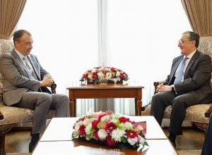 Глава МИД Армении принял спецпредставителя ЕС