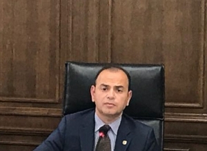 Армяне диаспоры не будут заниматься посещением Гарни-Гегарда, будут работать в государственных органах: Заре Синанян