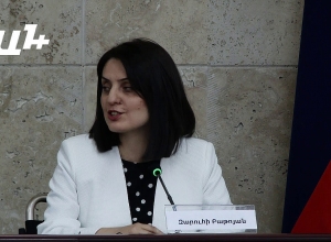 Մինչ օրս սոցիալական աշխատանքի ինստիտուտը կայացել է ակադեմիական մակարդակում․ Զարուհի Բաթոյան