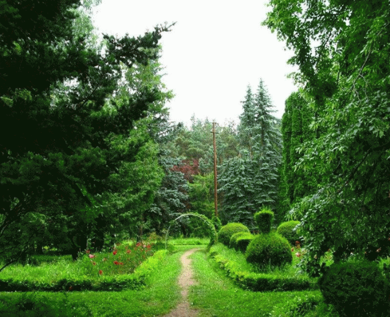 Новая дорога приведет гостей в Дендрапарк