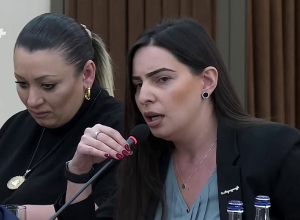 Դադարեցրեք մանիպուլյատիվ գործելաոճը․ Թեհմինա Վարդանյանը Հայկ Մարությանին