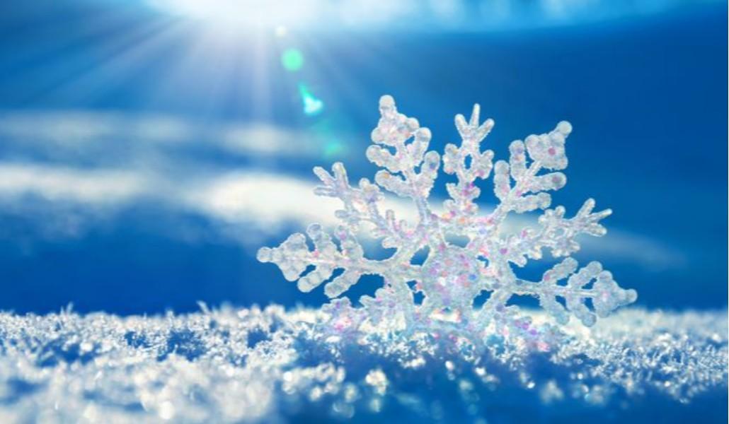 snowflake.jpg.653x0_q80_crop-smart