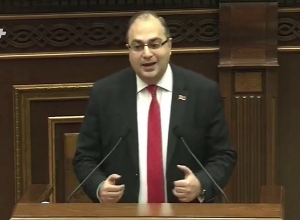 «Խորհրդարանական վերահսկողությունը այն է, որ ԱԺ-ն վերահսկում է Կառ․-ը, և չի միջամտում նրա գործերին»