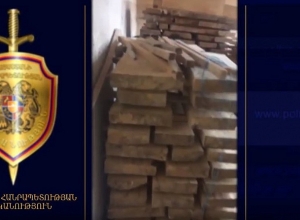 Ոստիկանները հայտնաբերել են մեծաքանակ ապօրինի հատված ծառեր