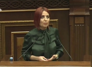 Ո՞ւր է Արսեն Թորոսյանը. Անի Սամսոնյան