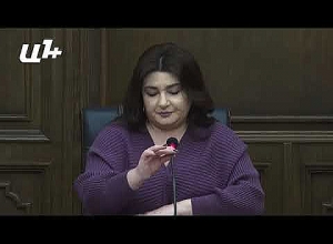 ԲՀԿ ն եղել է նախկին իշխանության ամենախիստ քննադատը․ Գևորգ Պետրոսյան