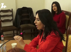 Քաղաքական գործիչները խոցելի՞ են, թե՞ ոչ․ քննարկում իշխանական և ընդդիմադիր պատգամավորների միջև