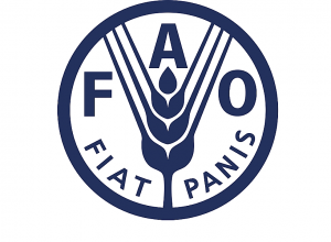 Мировые цены на продовольствие в феврале снизились