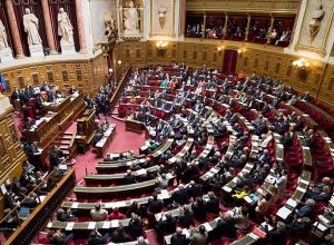 Сенат Франции принял ЕС-Армения…