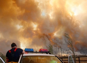 Из-за пожаров в Австралии уничтожено 480 миллионов животных