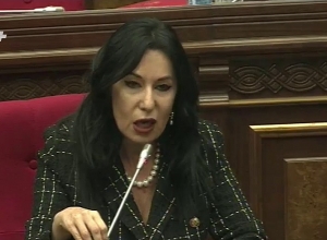 Նաիրա Զոհրաբյան. կոճակը գտան, մնաց՝ վերարկուն