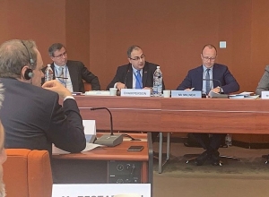 Владимир Варданян избран председателем подкомиссии ПАСЕ по правам человека: Рубен Рубинян