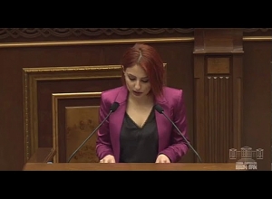 ԼՀԿ-ն դուրս է գալիս ատելության խոսքի կանխարգելման աշխատանքային խմբից․ Անի Սամսոնյան